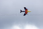 Hawker Hunter Mk.58A G-PSST 'Miss Demeanour' [F5_2001_15_014]